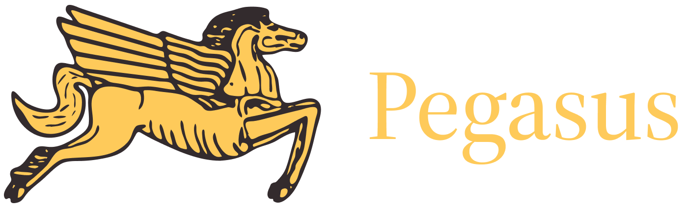 Logo Pegasus Häusliche Krankenpflege GmbH
