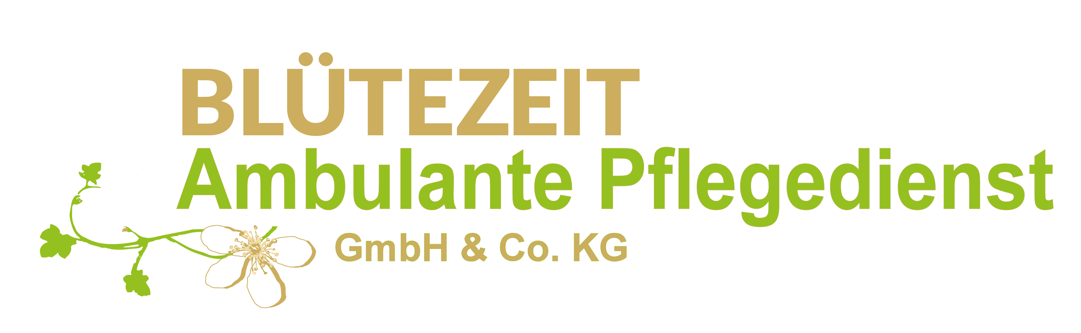 Logo Blütezeit