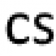 Logo CS-Betreuungsdienste
